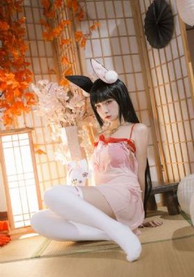 一本一道波多野毛片结衣_神马影院手机在线观看